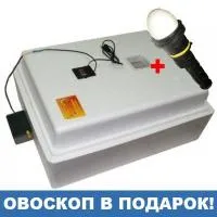 Инкубатор Несушка на 104 яйца (автомат, цифровое табло)